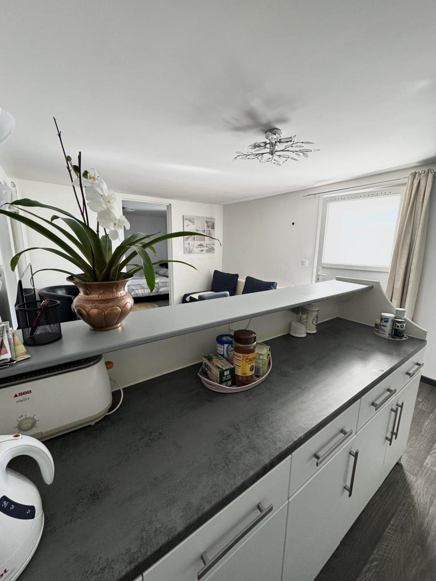 Appartement Detox Au Pied Du Semnoz Seynod Esterno foto